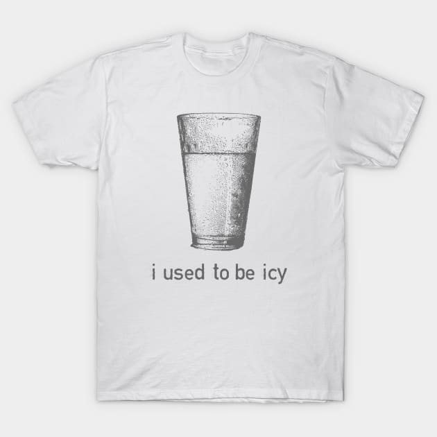 I Used to be Icy T-Shirt by Shirts That Bangs